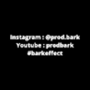 Meet your Posher, Bark